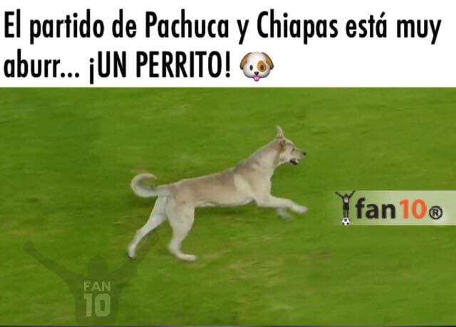 Ahora las burlas fueron con todo contra el arbitraje y la derrota que sufrió el campeón de la Liga MX así como con el gol del 'Gullit' Peña con León.