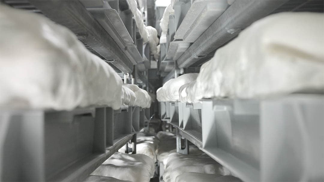 Adidas espera lanzar una versión disponible comercialmente de los tenis veganos renovables en un futuro cercano.