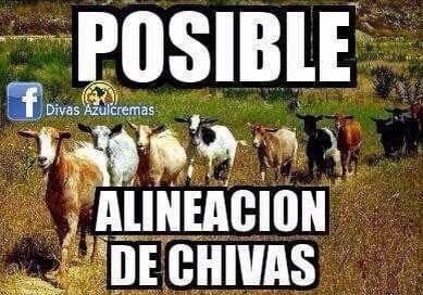 Memes acaban al Gullit, Salcedo y Chivas