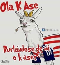 Memes acaban al Gullit, Salcedo y Chivas