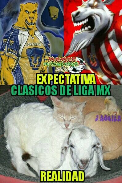 Memes acaban al Gullit, Salcedo y Chivas
