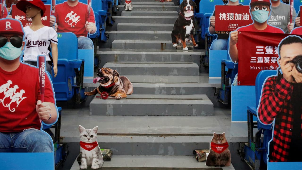 Sabemos que no es lo mismo, pero son buenas iniciativas para que las tribunas no se vean vacías.