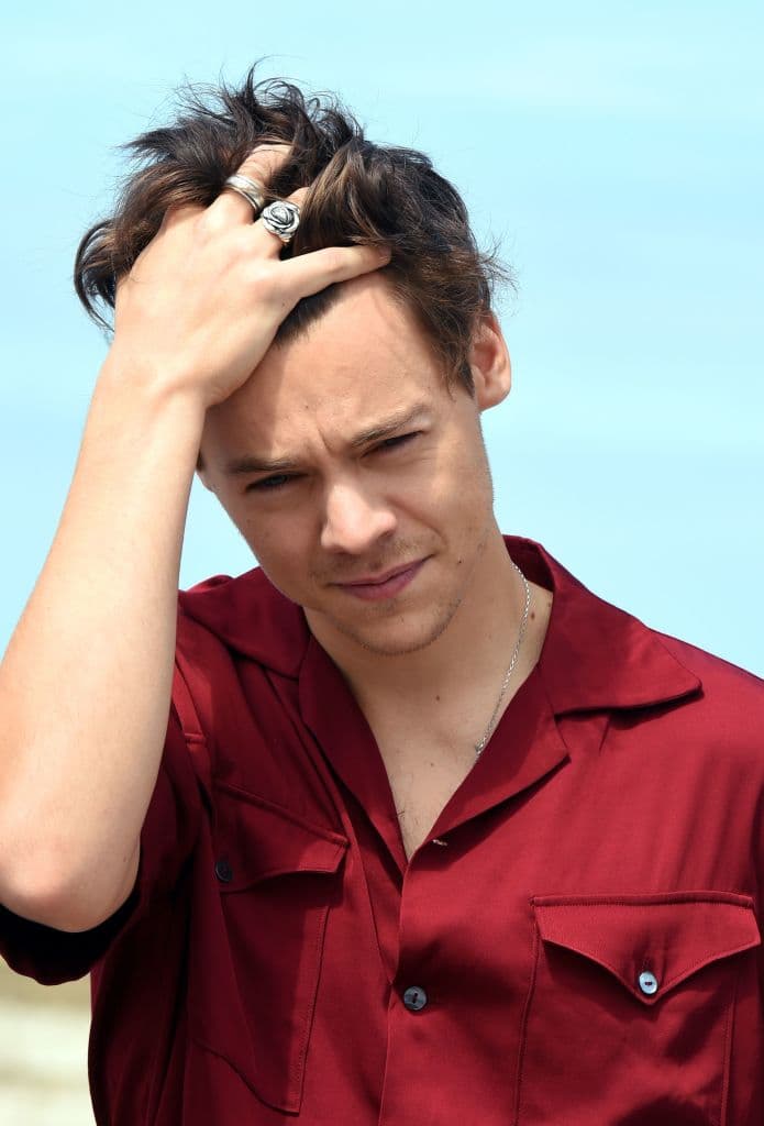 Durante una entrevista con la revista Vogue, la actriz afirmó admirar mucho al cantante Styles.