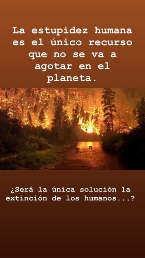 Carles Puyol, ex jugador, reflexionó acerca de lo ocurrido en sus historias de Instagram.