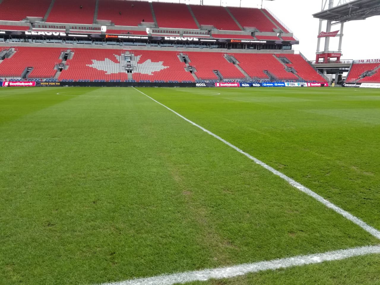 Las condiciones del terreno son aceptables para el juego de ida entre Toronto FC y Chivas de Guadalajara, en medio de un clima frío que sin duda cuenta como factor en el escenario.
