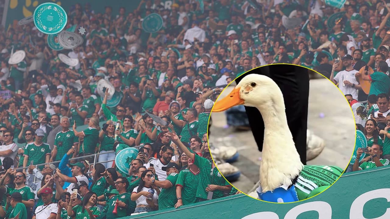 El pato que usa tenis, la playera del Tri y se volvió viral en el Mundial 2026