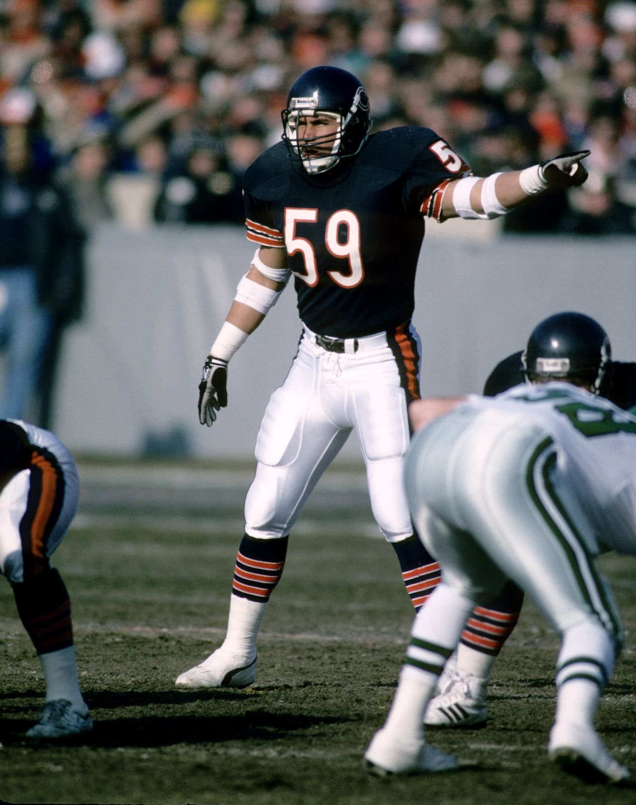 RON RIVERA Es el único de los entrenadores en jefe en playoffs divisionales 2015 que fue campeón de Super Bowl como jugador. Rivera fue parte de los Chicago Bears monarcas del Super Bowl XX sobre los New England Patriots.