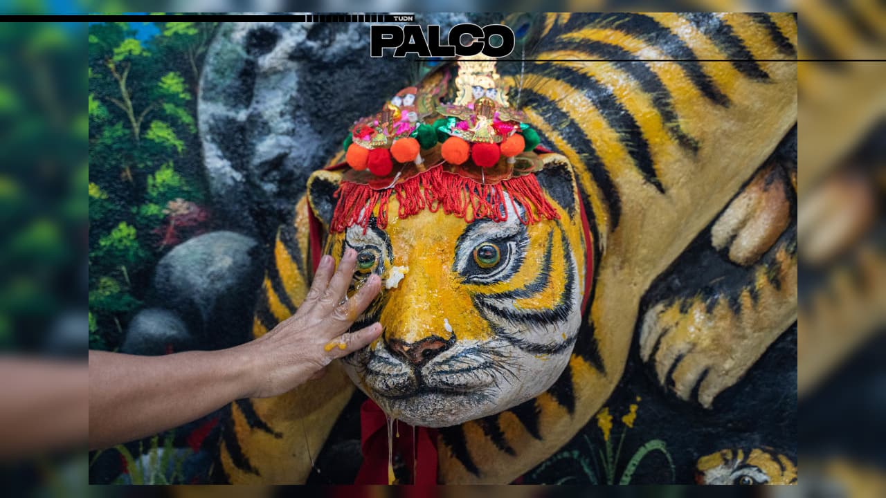 ¿Sabías que estas celebridades nacieron en el año del Tigre? | Tras 12 años de espera, el año del Tigre regresa y estas son las estrellas que han tenido el privilegio de nacer en estas fechas.