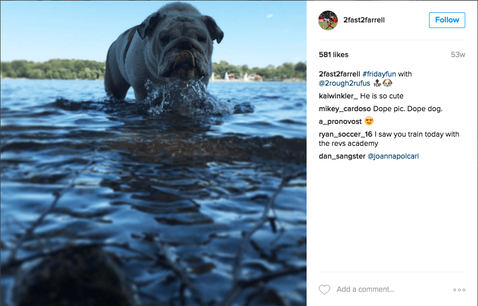 DEFENSA: Rufus | Lo mejor de la mascota del defensor de New England, Andrew Farrell, es que tiene su propia cuenta de Instagram: @2Rough2Rufus.