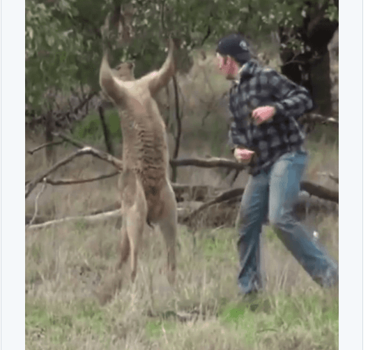 La derrota en 48 segundos de la peleadora no pasaron desapercibidos en las redes sociales.