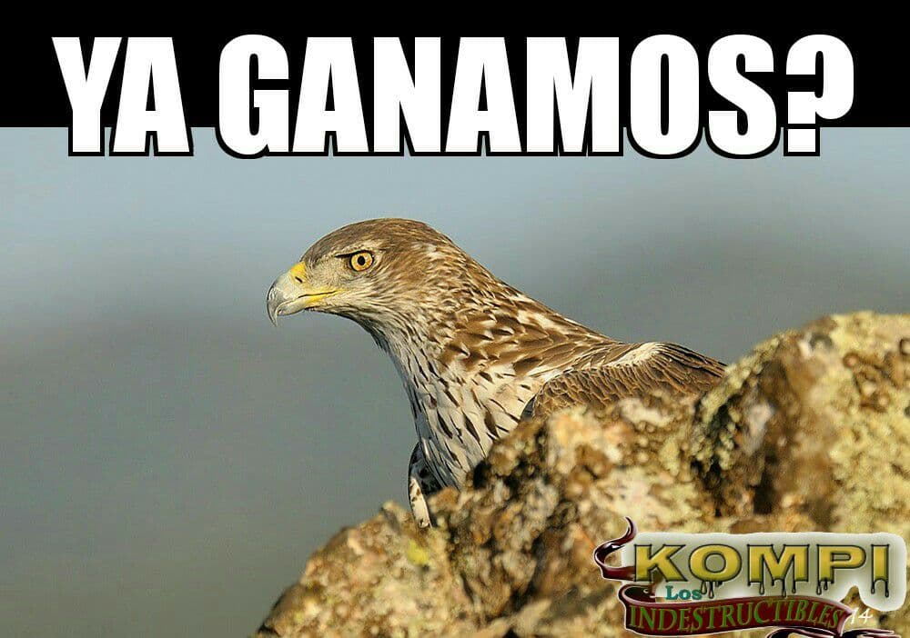 Los equipos más populares de la Liga MX triunfaron en la J4 del Clausura 2016 y su afcicionados lo celebraron en las redes sociales.