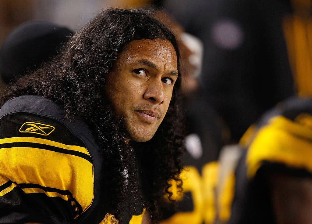 Cabello de Troy Polamalu | $1 millón de dólares