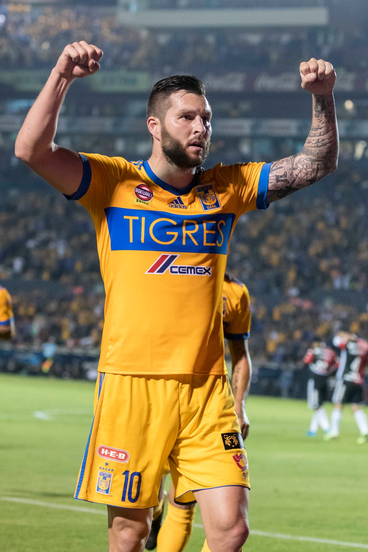 Pasan los torneos y el francés continúa consolidándose como un jugador histórico para los Tigres. Su aporte ofensivo es invaluable y es la carta fuerte de los felinos en sus aspiraciones al título.