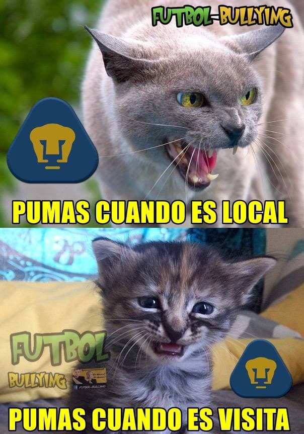 Pumas perdió el clásico ante América y y fueron la burla en las redes sociales, pero las águilas no se salvaron.