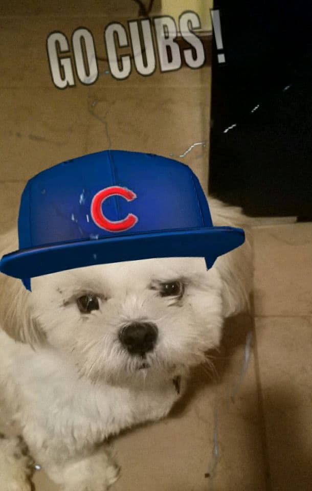 Fans de los Cus siguen enviando sus fotos para animar al equipo a dar el todo por el todo en el Clásico de Otoño.