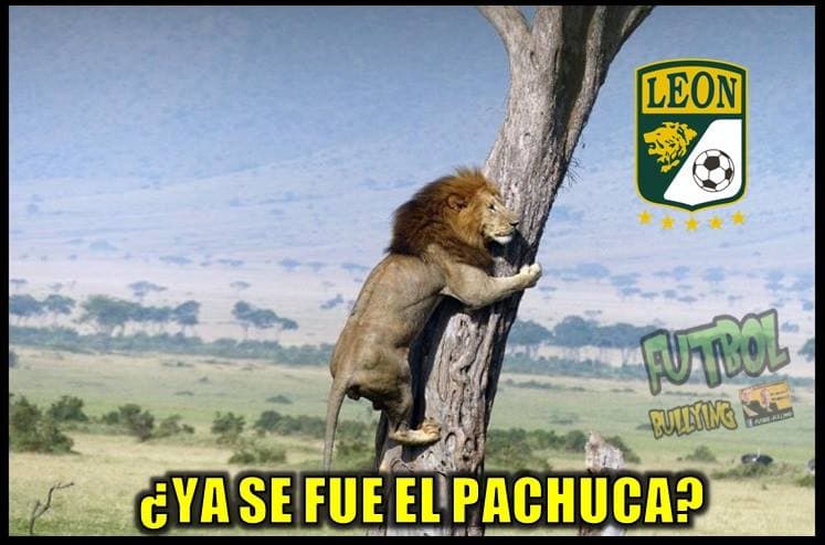 Pachuca derrotó a León para avanzar a la final y los memes no faltaron.