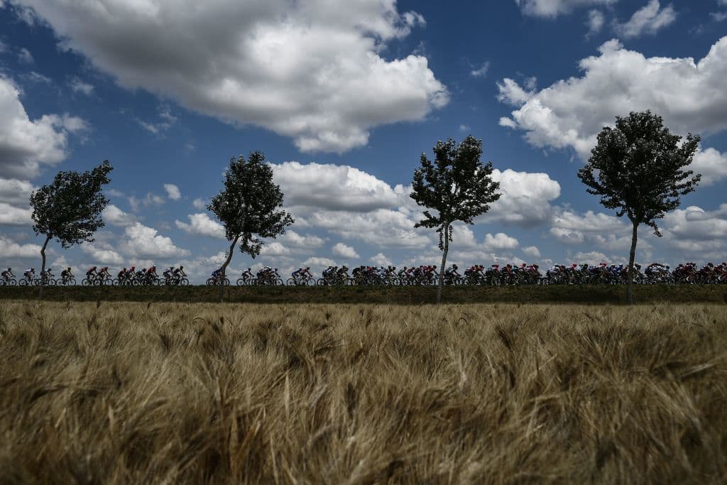 Todo hace parte de las postales del Tour de Francia, cuyos paisajes y fanáticos hacen parte del dibujo de una de las grandes carreras del ciclismo y el deporte mundial en su comienzo.