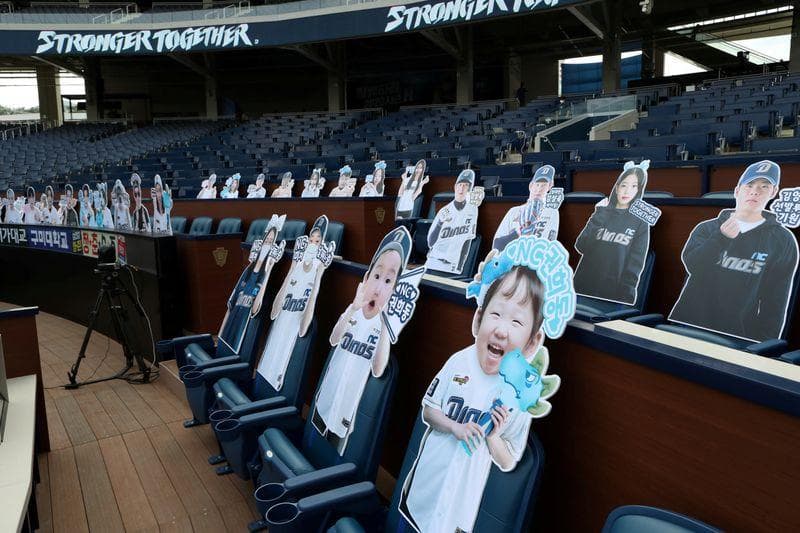 Un elemento importante que da vida a los deportes son los fanáticos, pues sin ellos, el ambiente deportivo no es el mismo.