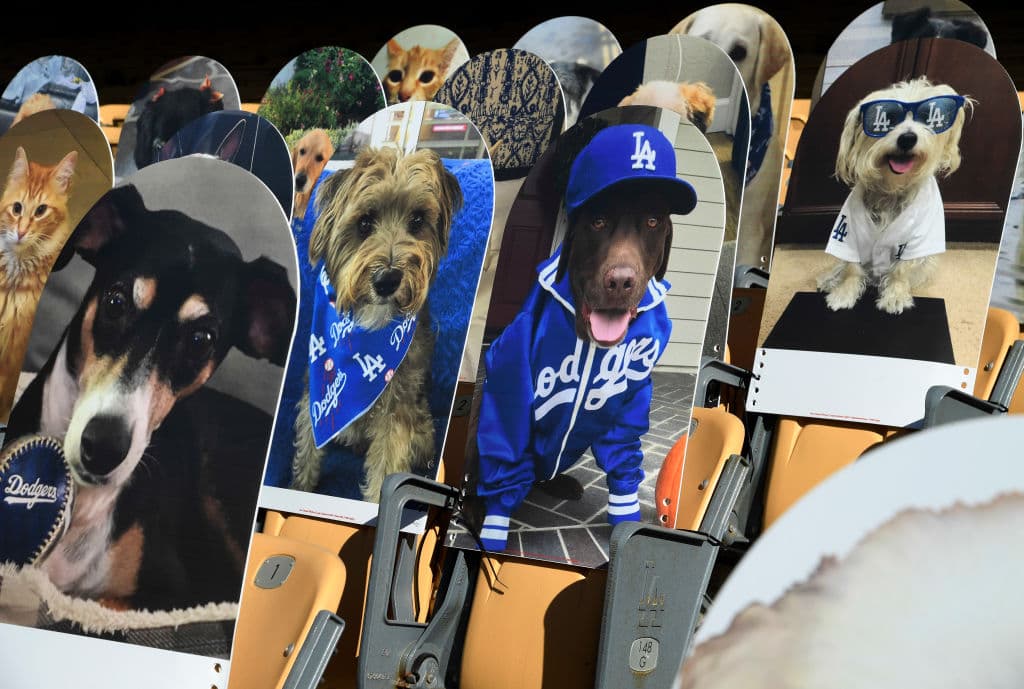 También hay perritos presentes.