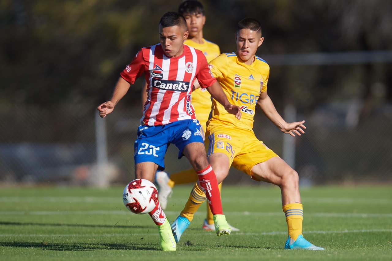 ¡Curioso! Ronaldo Zinedin le da el triunfo al San Luis sobre Tigres