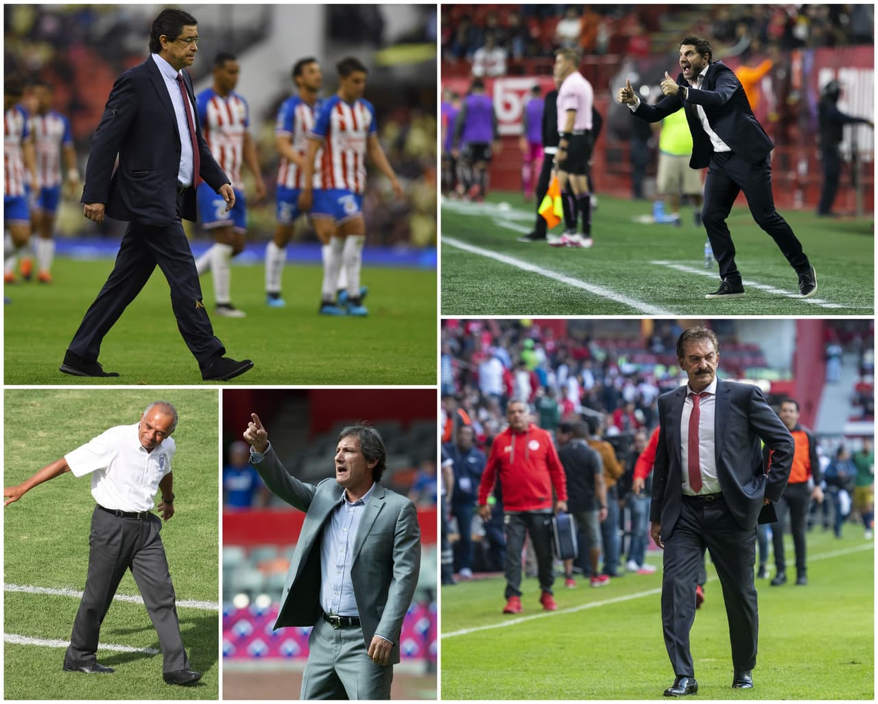 A la recta final del Apertura 2019, algunos técnicos podrían terminar su presente relación laboral.