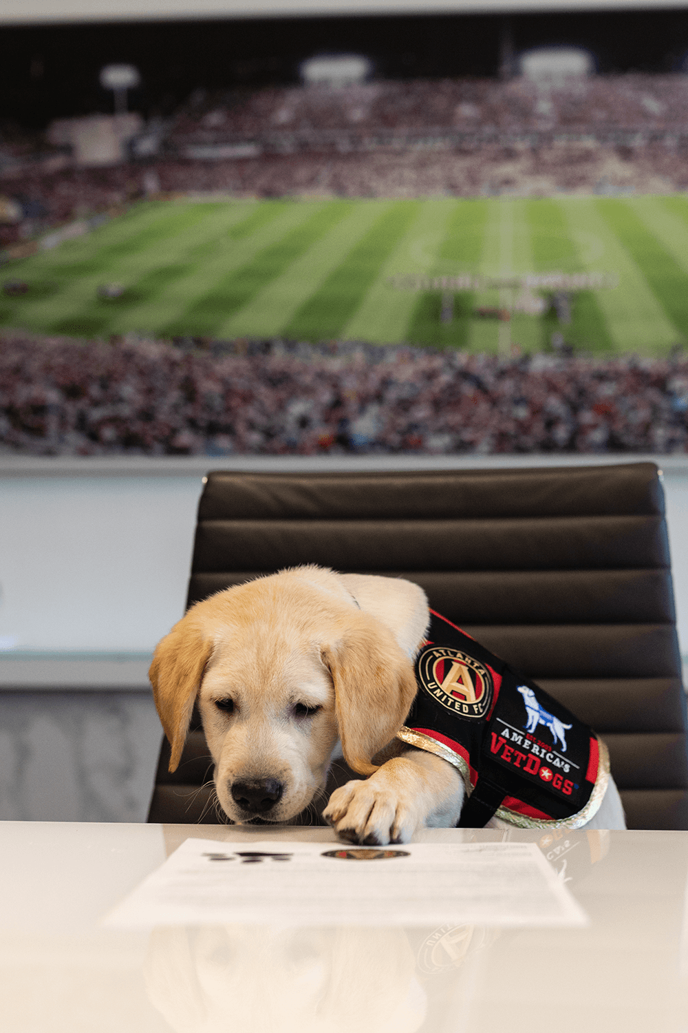 Como toda estrella, Spike ya firmó su contrato como 'cachorro franquicia' de Atlanta United.