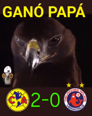 América por su parte celebró su victoria contra Veracruz que lo mantiene en la persecución por el liderato.