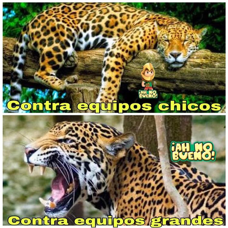 El Guadalajara fue derrotado sorpresivamente por Chiapas y las burlas no faltaron.