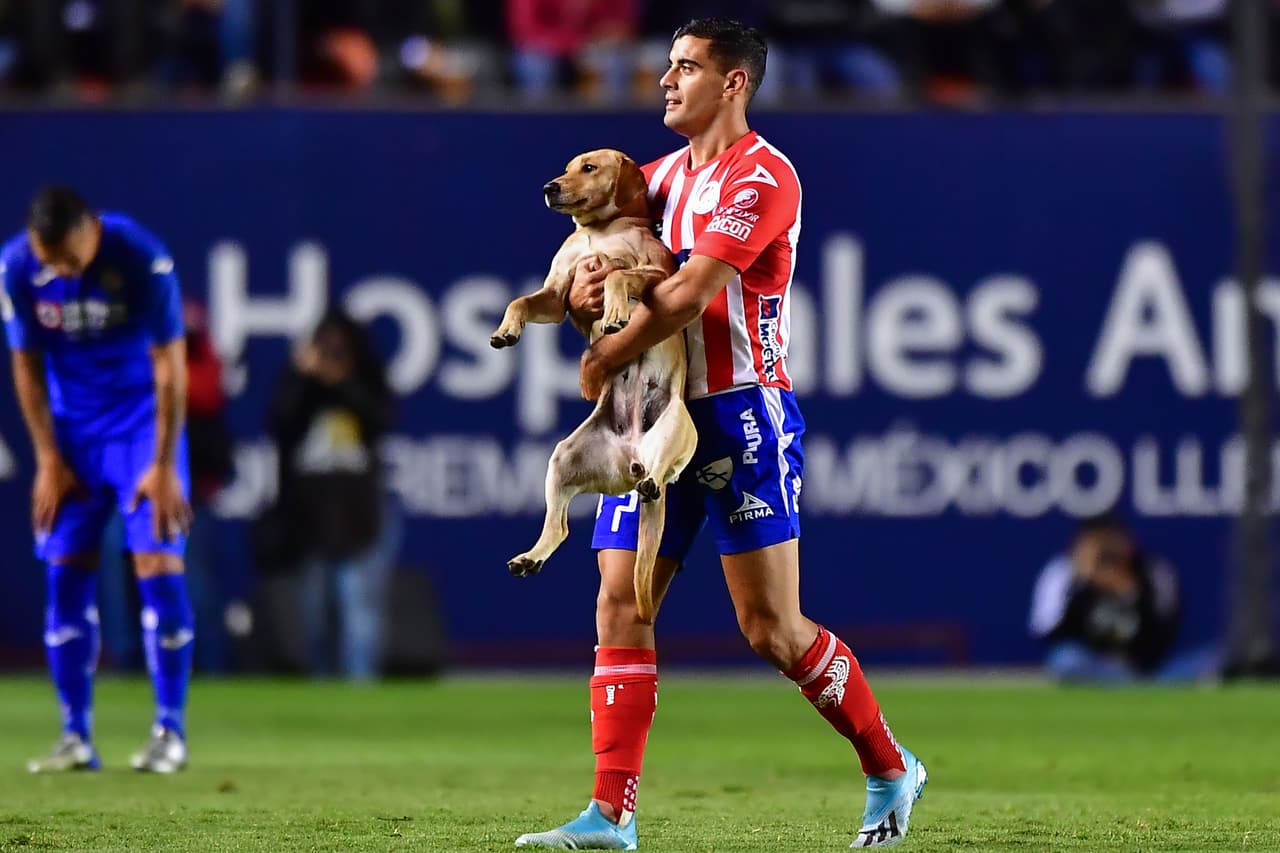 San Luis busca a ‘Tunita’, que irrumpió en el partido ante Cruz Azul