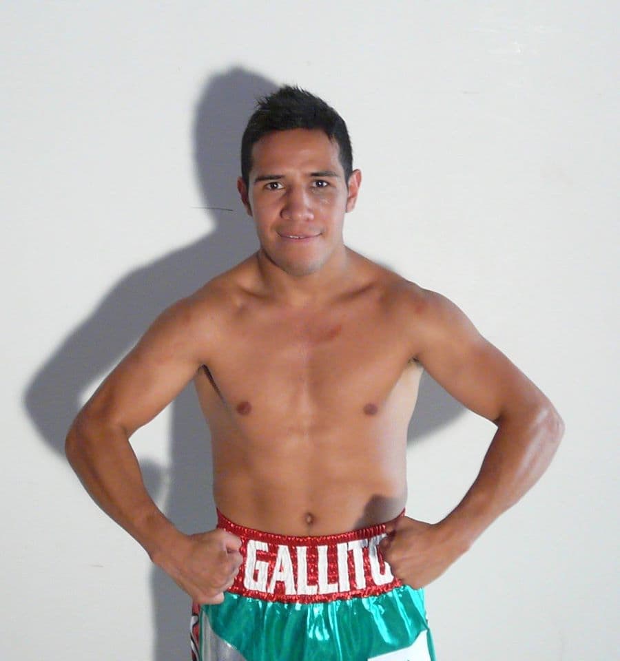 "Gallito" Ceja por un cinturón mundial.