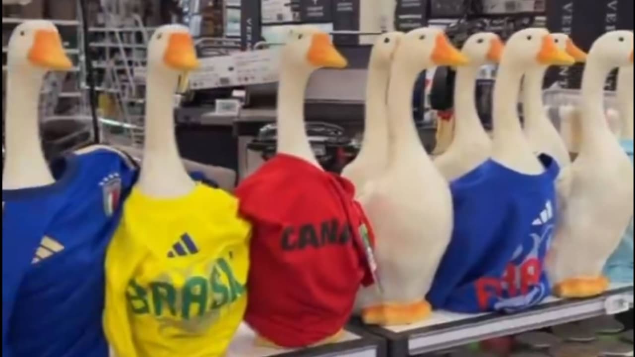 ¡Ya lo venden en el extranjero! Figuras del Pato Merlín son comercializadas en Canadá
