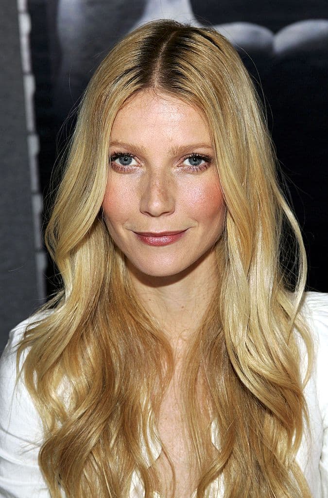 En su discusión, Paltrow también culpó a la pornografía de una gran cantidad de problemas con los que la gente estaba luchando, particularmente las niñas.