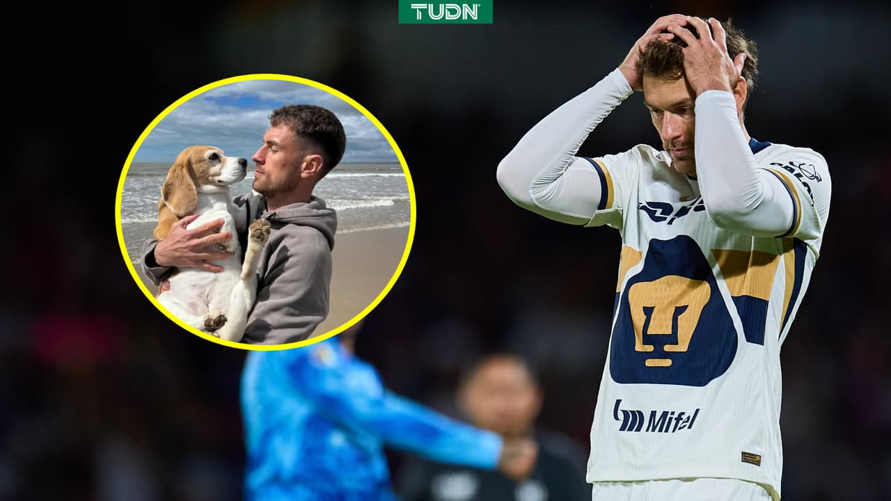 Ramsey comparte triste actualización de su perrita perdida Halo