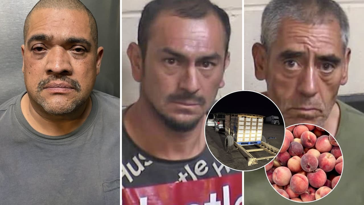 Roban libras de duraznos con un valor de 8,500 dólares de una granja del Valle Central de California; hay tres detenidos