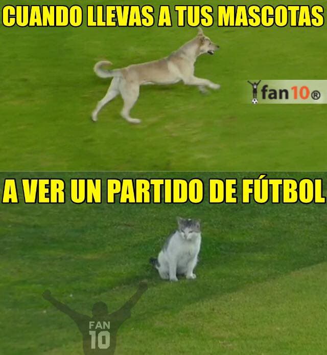 Ahora las burlas fueron con todo contra el arbitraje y la derrota que sufrió el campeón de la Liga MX así como con el gol del 'Gullit' Peña con León.