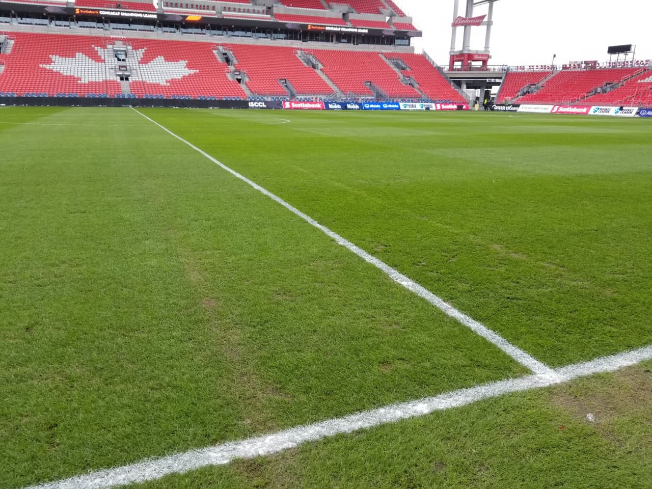 Las condiciones del terreno son aceptables para el juego de ida entre Toronto FC y Chivas de Guadalajara, en medio de un clima frío que sin duda cuenta como factor en el escenario.