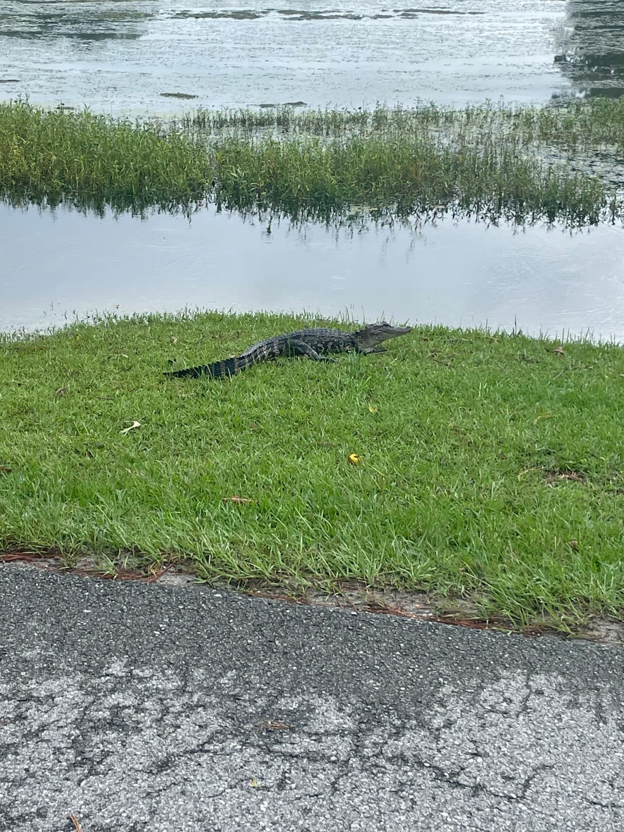 Test Article on Production_8_Aug_2024