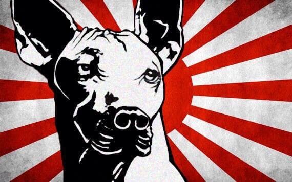 Xolos festejó sus 9 años de existencia