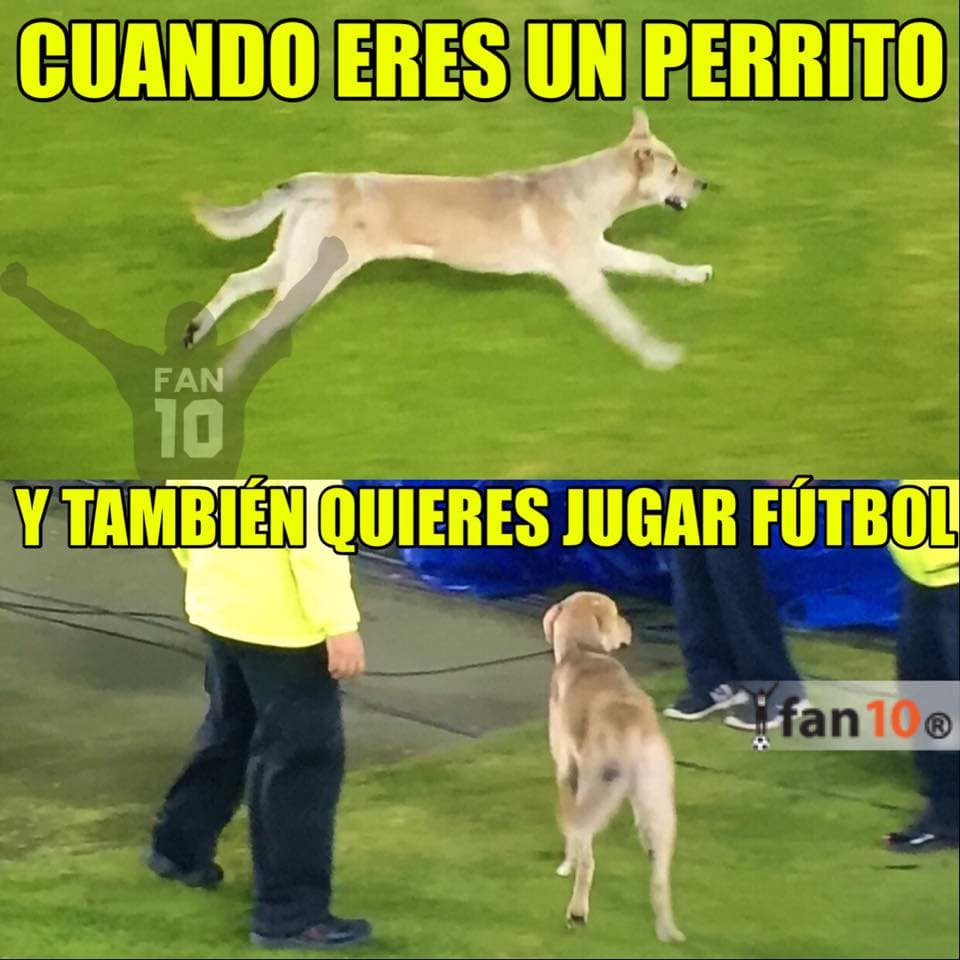 Ahora las burlas fueron con todo contra el arbitraje y la derrota que sufrió el campeón de la Liga MX así como con el gol del 'Gullit' Peña con León.