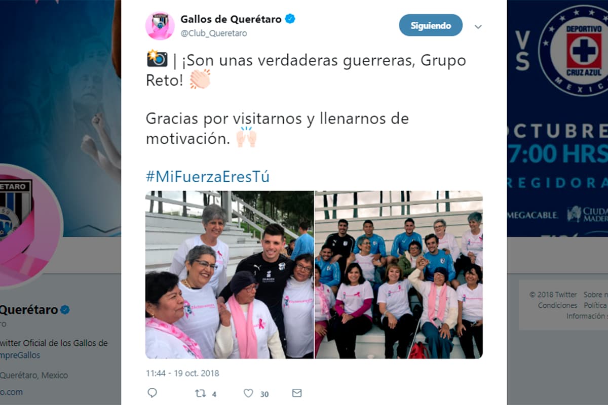 Gallos Blancos de Querétaro.