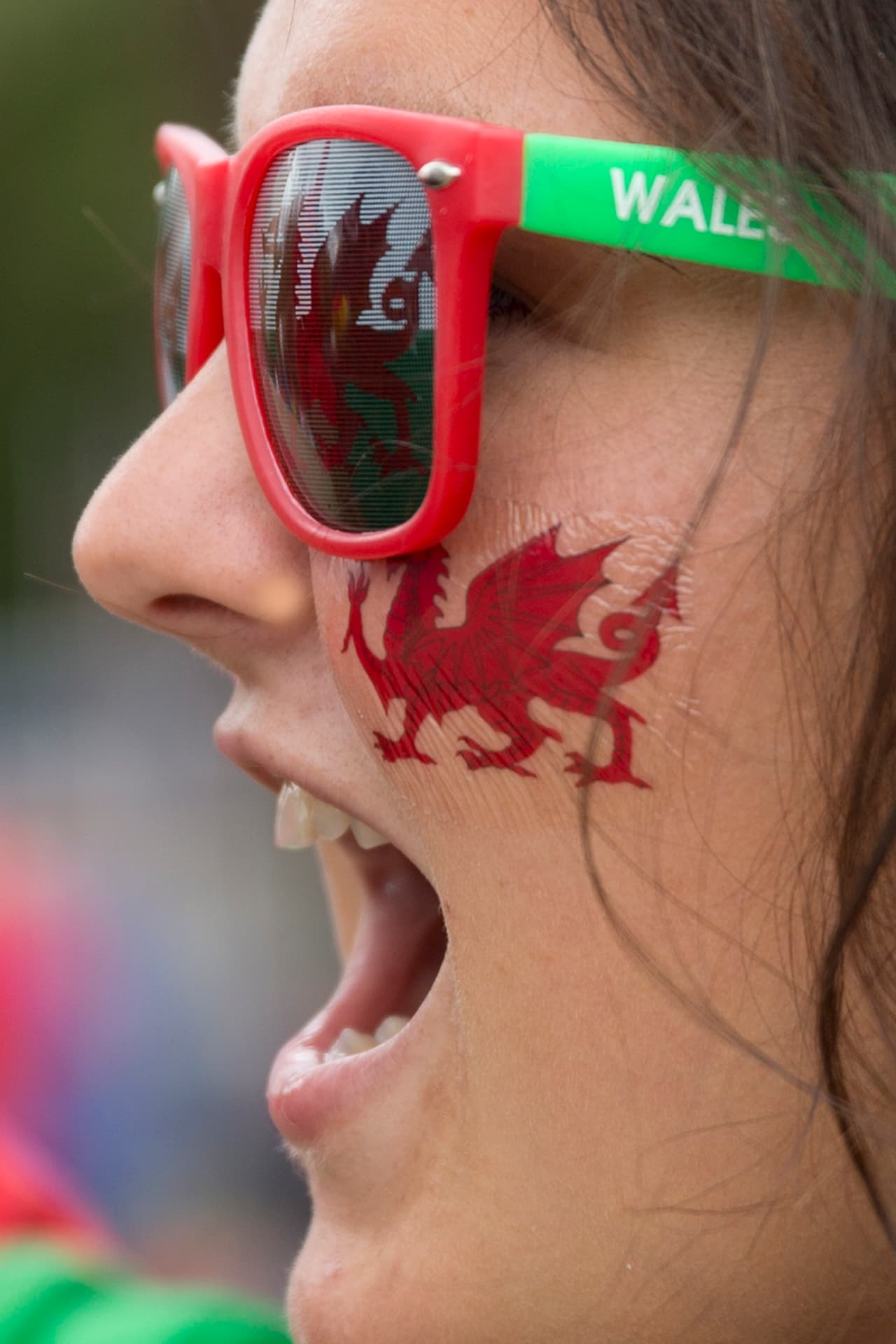 Las bellezas inundaron la Eurocopa y aquí te damos una probadita de estas dulzuras que apoyaron a sus equipos.