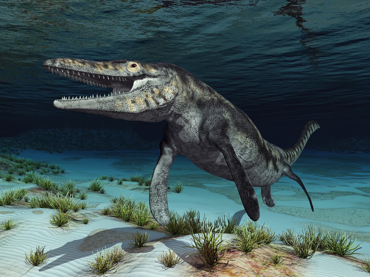 El monstruo marino que devoraba tiburones: conoce al feroz Mosasaurus