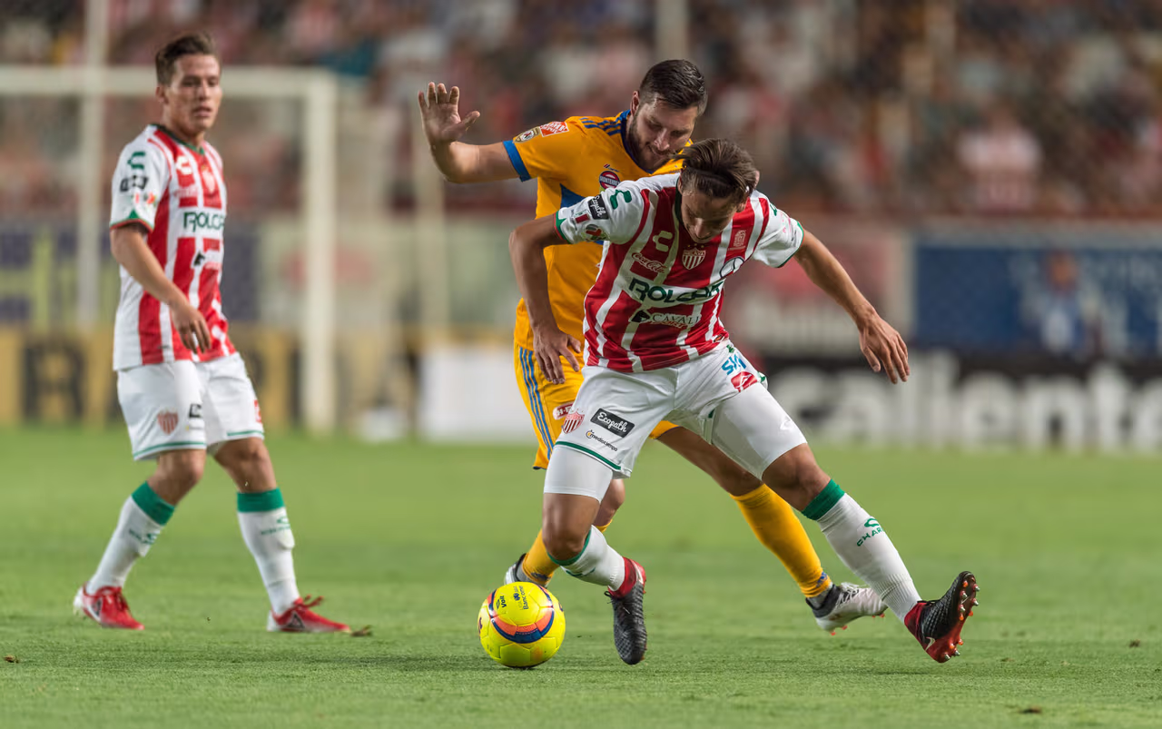 Cómo ver Tigres vs. Necaxa en vivo, por la Liga MX 16 febrero 2019 ...