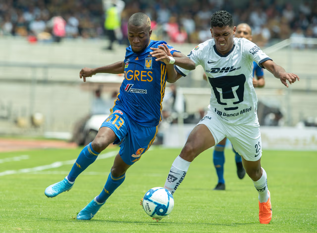 Cómo ver Tigres vs. Pumas en vivo, por la Liga MX 29 de febrero 2020 ...