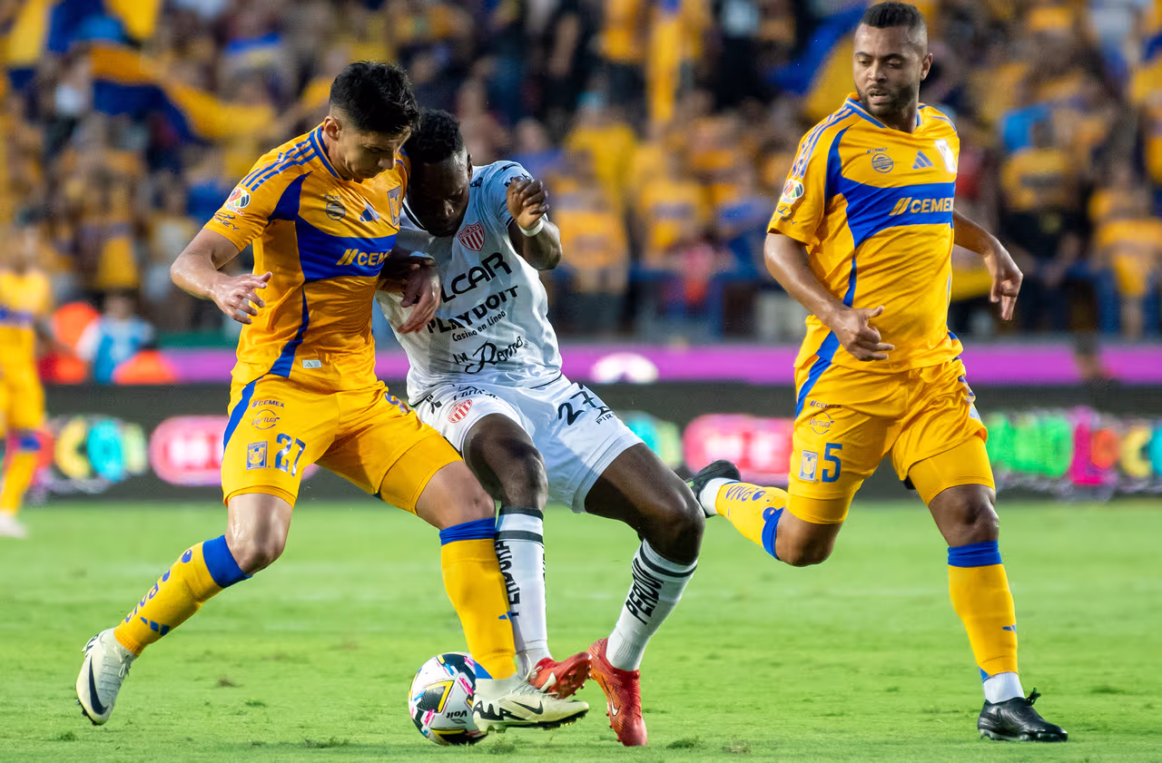 Necaxa vs. Tigres: Horario y dónde ver partido Jornada 10 Clausura 2025 ...