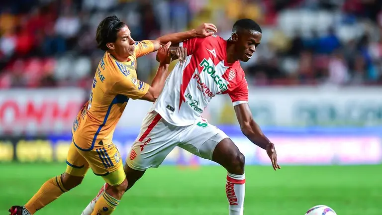 Tigres vs Necaxa: Schedule and where to watch this match on Matchday 16 of the Liga MX |  TUDN Liga MX