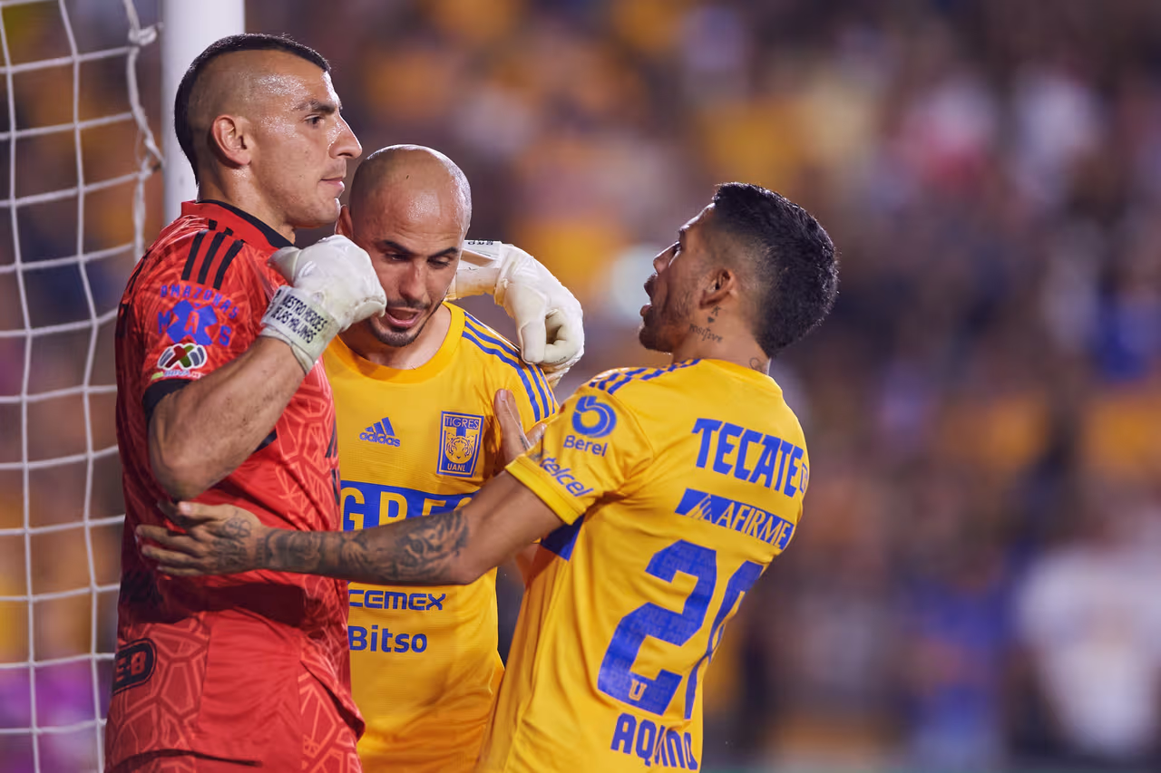 Tigres vs. Puebla partido EN VIVO por repechaje Clausura 2023 de Liga ...
