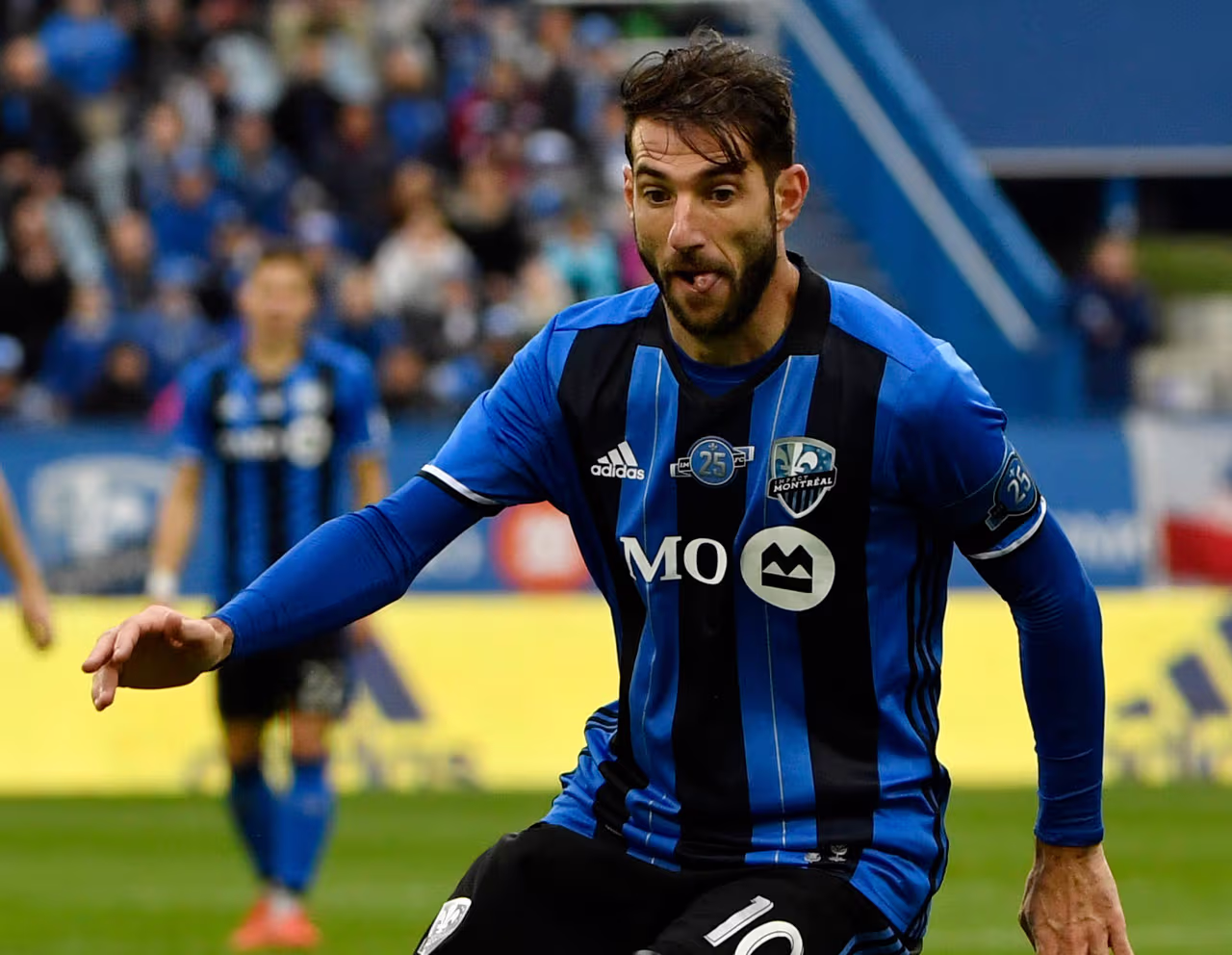 Ignacio Piatti enfría el entusiasmo de San Lorenzo: 