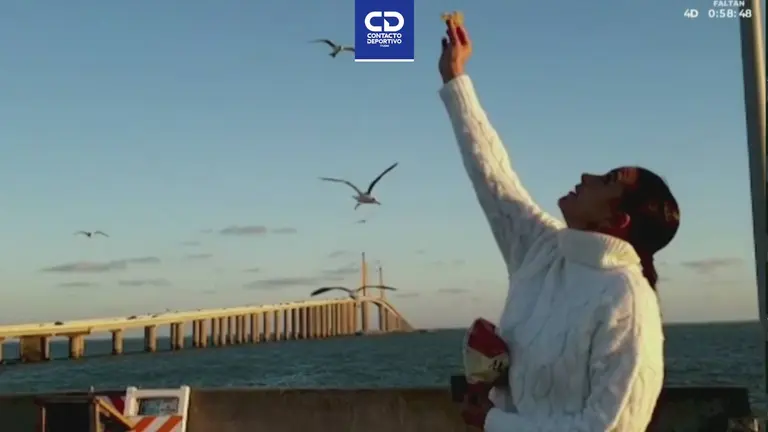 Sunshine Skyway, el impresionante puente que está en la sede del SBLV | TUDN NFL